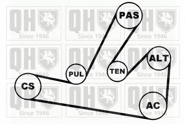 Quinton Hazell QDK60 Комплект ремня генератора QDK60: Отличная цена - Купить в Польше на 2407.PL!