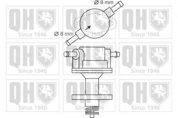 Quinton Hazell QFP87 Fuel pump QFP87: Buy near me in Poland at 2407.PL - Good price!
