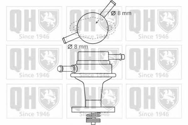 Quinton Hazell QFP88 Fuel pump QFP88: Buy near me in Poland at 2407.PL - Good price!