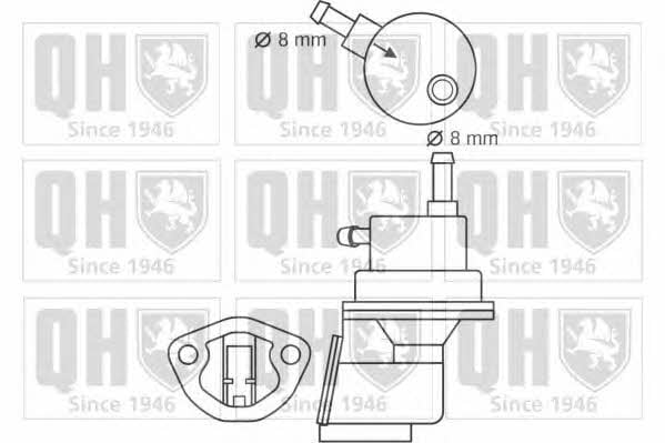 Quinton Hazell QFP89 Kraftstoffpumpe QFP89: Kaufen Sie zu einem guten Preis in Polen bei 2407.PL!