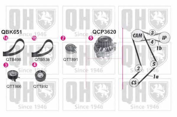 Quinton Hazell QBPK6510 TIMING BELT KIT WITH WATER PUMP QBPK6510: Buy near me at 2407.PL in Poland at an Affordable price!