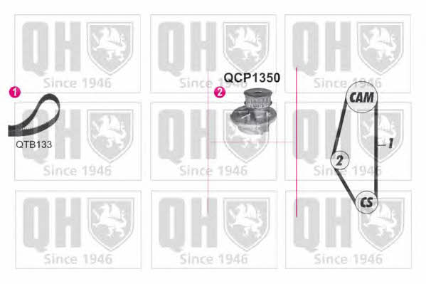 Quinton Hazell QBPK9009 Ремінь ГРМ, комплект з водяним насосом QBPK9009: Купити у Польщі - Добра ціна на 2407.PL!