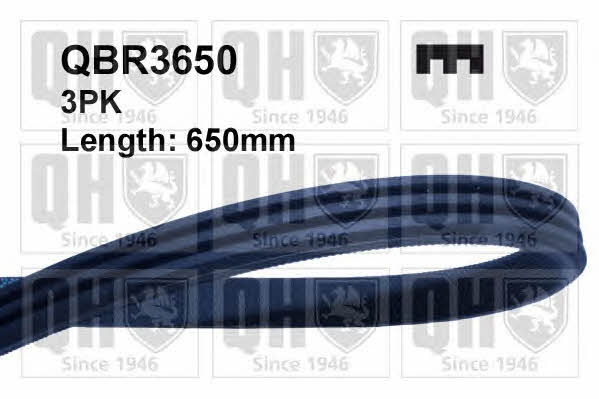 Quinton Hazell QBR3650 V-ribbed belt 3PK650 QBR3650: Buy near me in Poland at 2407.PL - Good price!