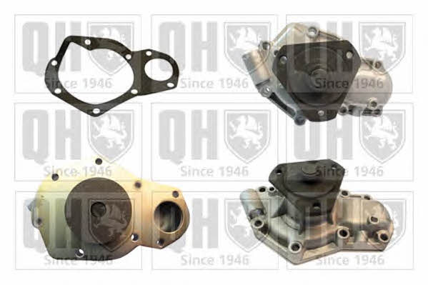Quinton Hazell QCP3202 Water pump QCP3202: Buy near me in Poland at 2407.PL - Good price!