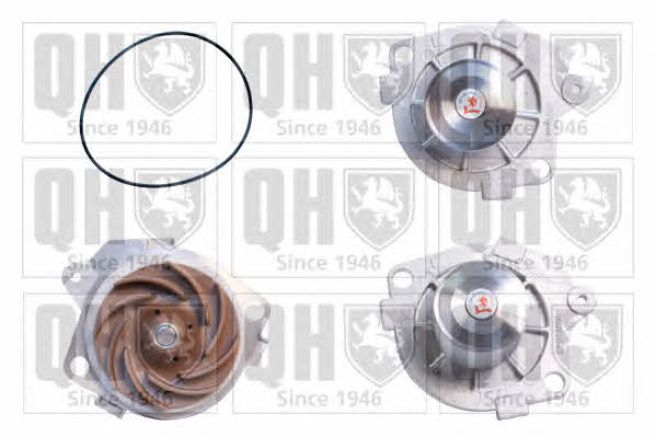Quinton Hazell QCP3366 Water pump QCP3366: Buy near me in Poland at 2407.PL - Good price!