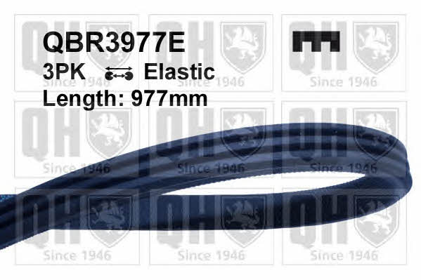 Quinton Hazell QBR3977E V-Ribbed Belt QBR3977E: Buy near me in Poland at 2407.PL - Good price!