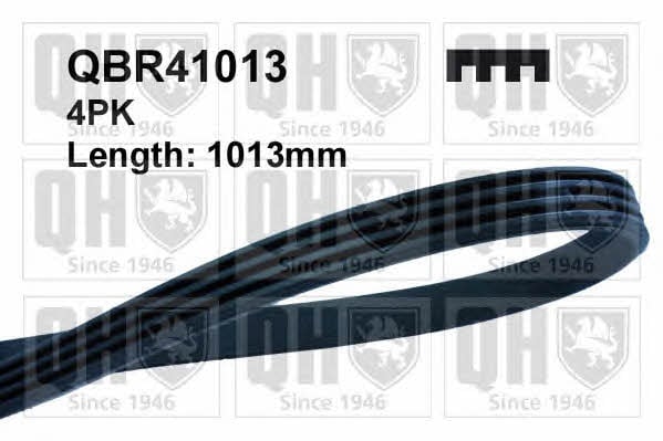 Quinton Hazell QBR41013 V-ribbed belt 4PK1013 QBR41013: Buy near me in Poland at 2407.PL - Good price!