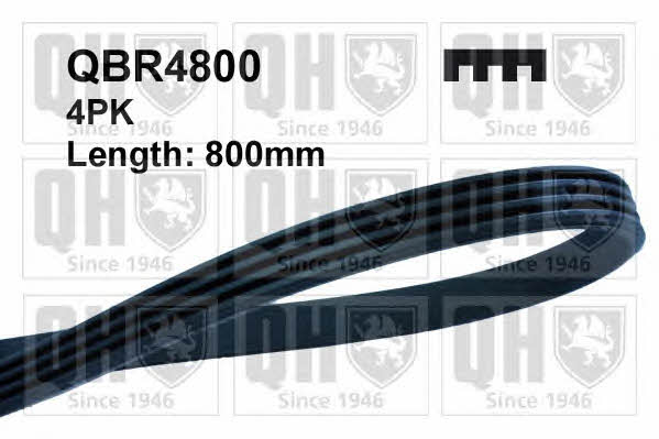 Quinton Hazell QBR4800 Ремень поликлиновой 4PK800 QBR4800: Отличная цена - Купить в Польше на 2407.PL!