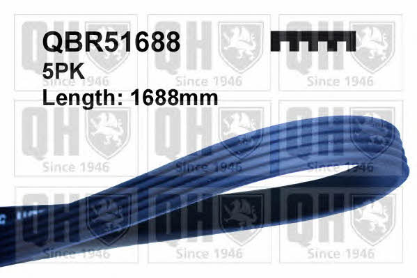 Quinton Hazell QBR51688 V-ribbed belt 5PK1688 QBR51688: Buy near me at 2407.PL in Poland at an Affordable price!