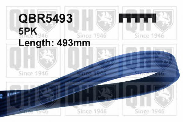Quinton Hazell QBR5493 V-ribbed belt 5PK493 QBR5493: Buy near me in Poland at 2407.PL - Good price!