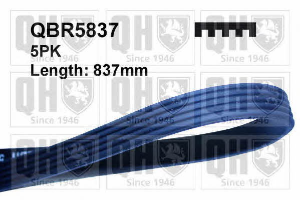 Quinton Hazell QBR5837 V-ribbed belt 5PK837 QBR5837: Buy near me in Poland at 2407.PL - Good price!