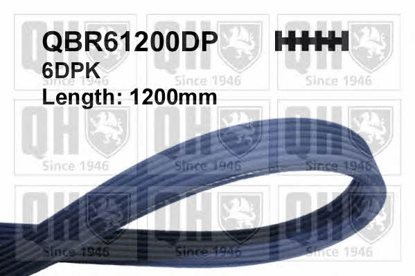 Quinton Hazell QBR61200DP V-ribbed belt 6DPK1200 QBR61200DP: Buy near me in Poland at 2407.PL - Good price!