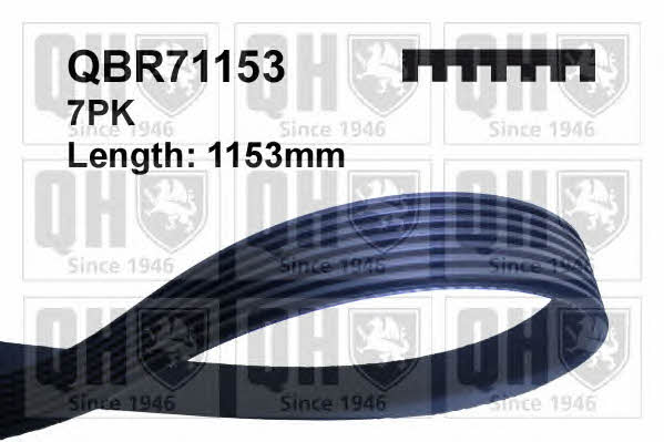 Quinton Hazell QBR71153 Pasek klinowy wielorowkowy 7PK1153 QBR71153: Dobra cena w Polsce na 2407.PL - Kup Teraz!