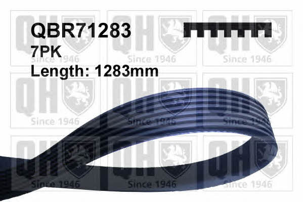 Quinton Hazell QBR71283 Pasek klinowy wielorowkowy 7PK1283 QBR71283: Dobra cena w Polsce na 2407.PL - Kup Teraz!