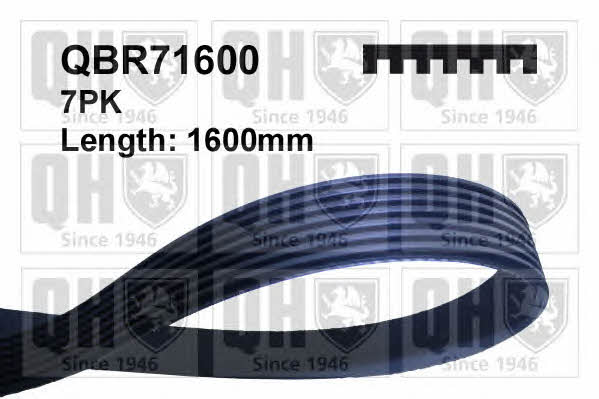 Quinton Hazell QBR71600 V-ribbed belt 7PK1600 QBR71600: Buy near me at 2407.PL in Poland at an Affordable price!