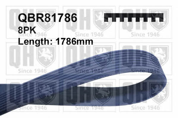 Quinton Hazell QBR81786 V-ribbed belt 8PK1786 QBR81786: Buy near me at 2407.PL in Poland at an Affordable price!