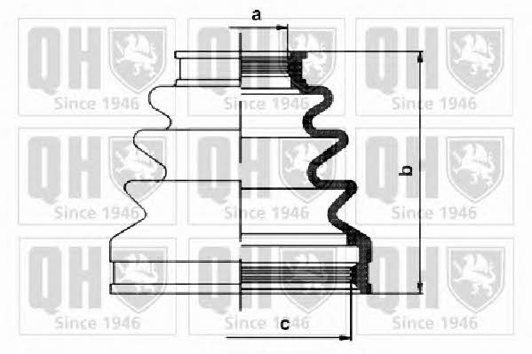 Quinton Hazell QJB1119 Osłona przeciwpyłowa wału napędowego QJB1119: Dobra cena w Polsce na 2407.PL - Kup Teraz!