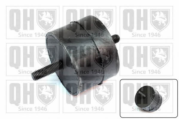 Quinton Hazell EM1575 Engine mount left, right EM1575: Buy near me in Poland at 2407.PL - Good price!