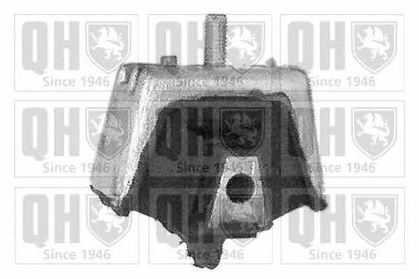 Quinton Hazell EM1918 Подушка коробки передач EM1918: Отличная цена - Купить в Польше на 2407.PL!