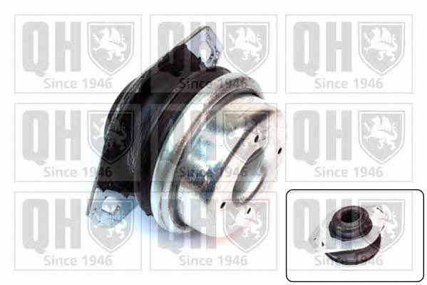 Quinton Hazell EM2518 Gearbox mount left EM2518: Buy near me in Poland at 2407.PL - Good price!