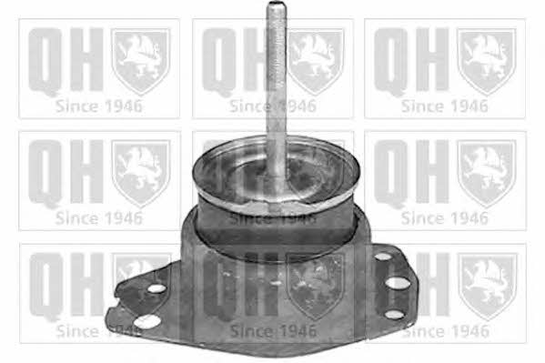 Quinton Hazell EM3142 Poduszka silnika prawa EM3142: Dobra cena w Polsce na 2407.PL - Kup Teraz!