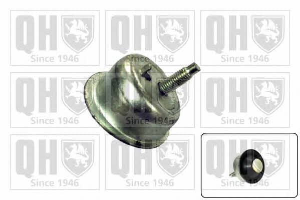 Quinton Hazell EM4143 Engine mount, front right EM4143: Buy near me in Poland at 2407.PL - Good price!
