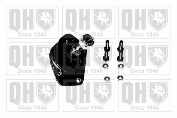 Quinton Hazell QSJ813S Ball joint QSJ813S: Buy near me in Poland at 2407.PL - Good price!