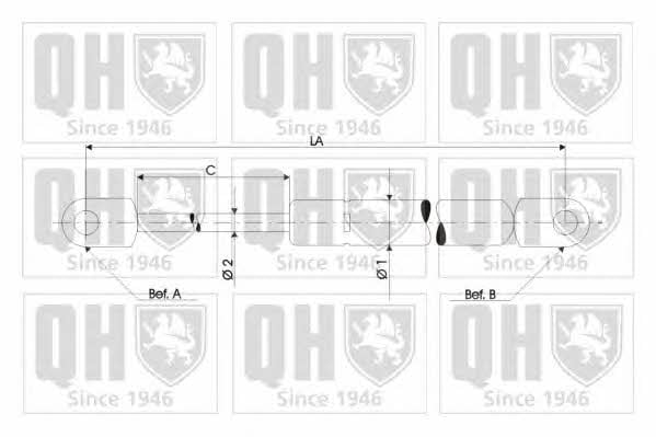 Quinton Hazell QTS828008 Gas Spring, boot-/cargo area QTS828008: Buy near me at 2407.PL in Poland at an Affordable price!