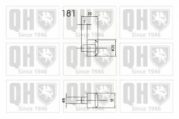 Quinton Hazell QTS840296 Gas hood spring QTS840296: Buy near me at 2407.PL in Poland at an Affordable price!