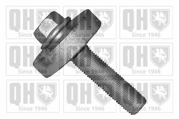 Quinton Hazell QTT1166B Pulley Bolt QTT1166B: Buy near me at 2407.PL in Poland at an Affordable price!