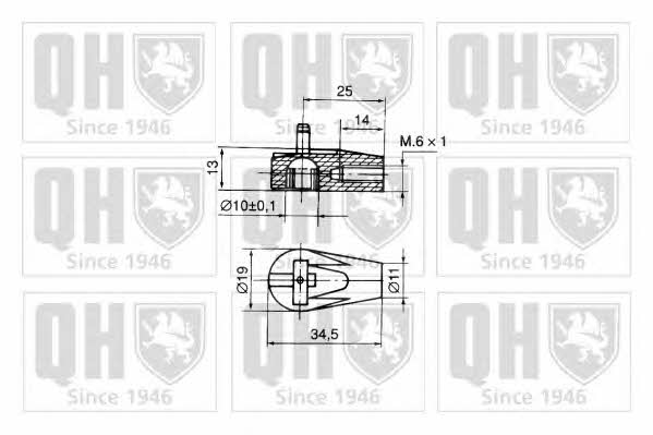 Quinton Hazell QTS128016 Gas Spring, boot-/cargo area QTS128016: Buy near me at 2407.PL in Poland at an Affordable price!