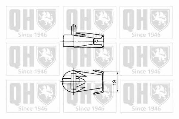 Quinton Hazell QTS128064 Gas Spring, boot-/cargo area QTS128064: Buy near me in Poland at 2407.PL - Good price!