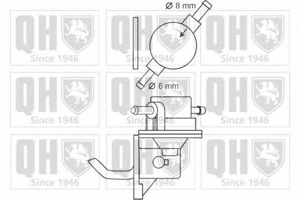 Quinton Hazell QFP102 Kraftstoffpumpe QFP102: Kaufen Sie zu einem guten Preis in Polen bei 2407.PL!