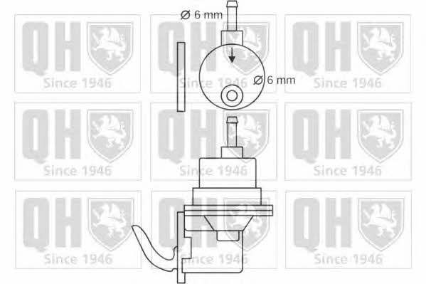 Quinton Hazell QFP103 Fuel pump QFP103: Buy near me in Poland at 2407.PL - Good price!
