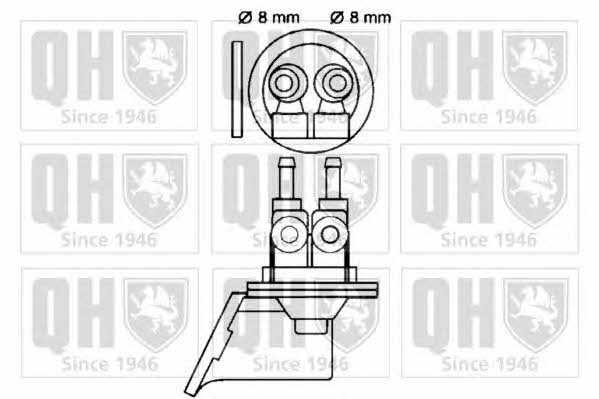 Quinton Hazell QFP12 Fuel pump QFP12: Buy near me in Poland at 2407.PL - Good price!