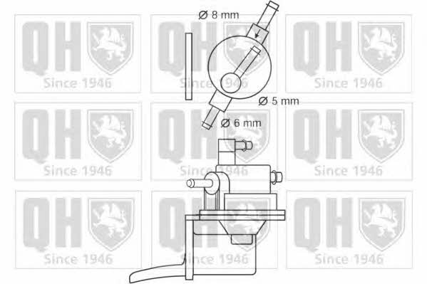 Quinton Hazell QFP138 Fuel pump QFP138: Buy near me in Poland at 2407.PL - Good price!