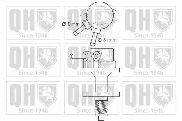 Quinton Hazell QFP141 Fuel pump QFP141: Buy near me in Poland at 2407.PL - Good price!