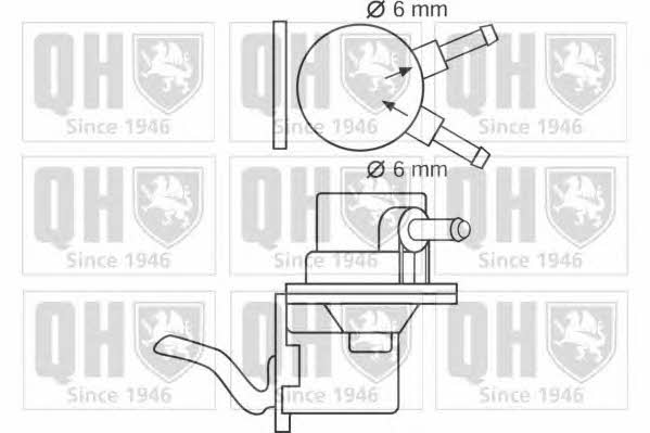 Quinton Hazell QFP145 Fuel pump QFP145: Buy near me in Poland at 2407.PL - Good price!