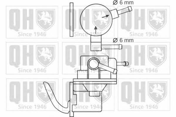 Quinton Hazell QFP156 Fuel pump QFP156: Buy near me in Poland at 2407.PL - Good price!