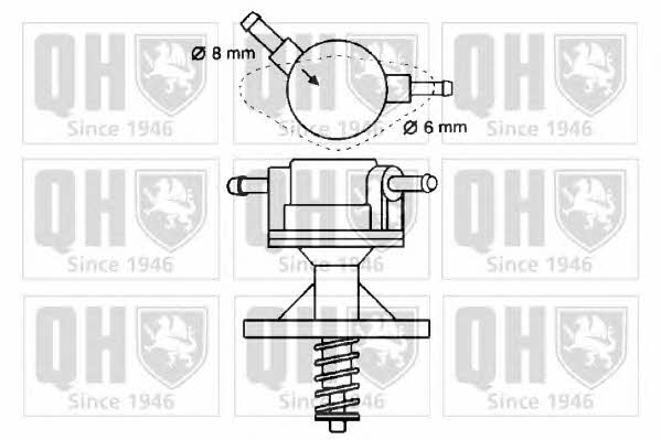 Quinton Hazell QFP162 Fuel pump QFP162: Buy near me at 2407.PL in Poland at an Affordable price!