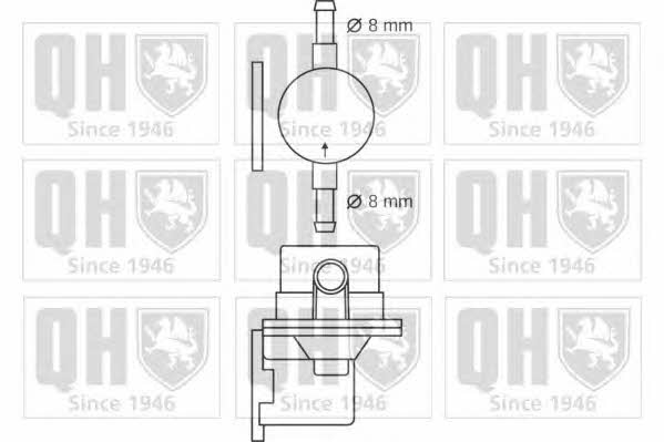 Quinton Hazell QFP164 Kraftstoffpumpe QFP164: Kaufen Sie zu einem guten Preis in Polen bei 2407.PL!