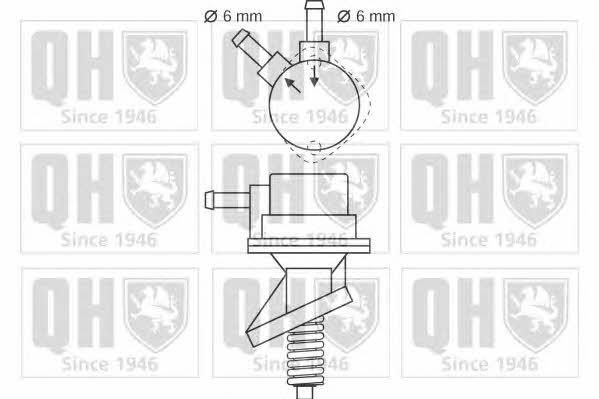 Quinton Hazell QFP17 Fuel pump QFP17: Buy near me at 2407.PL in Poland at an Affordable price!