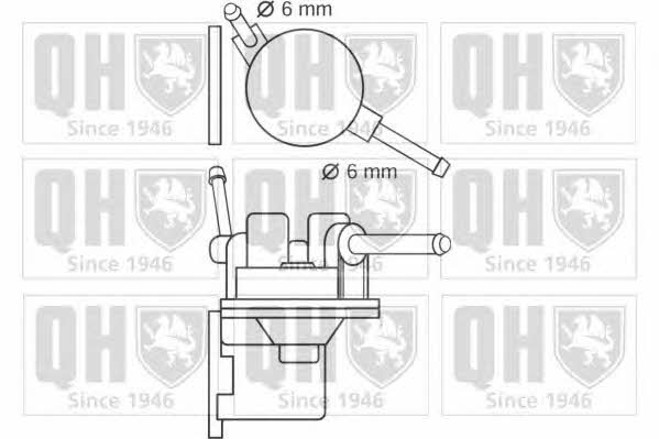 Quinton Hazell QFP176 Fuel pump QFP176: Buy near me in Poland at 2407.PL - Good price!
