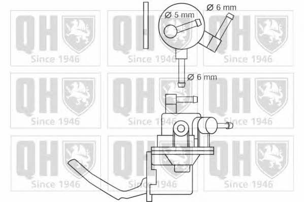 Quinton Hazell QFP178 Kraftstoffpumpe QFP178: Kaufen Sie zu einem guten Preis in Polen bei 2407.PL!