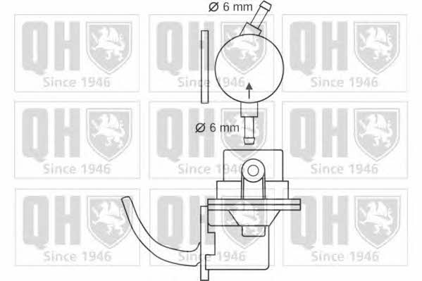 Quinton Hazell QFP20 Kraftstoffpumpe QFP20: Kaufen Sie zu einem guten Preis in Polen bei 2407.PL!