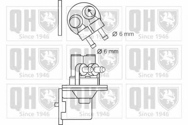 Quinton Hazell QFP21 Kraftstoffpumpe QFP21: Kaufen Sie zu einem guten Preis in Polen bei 2407.PL!