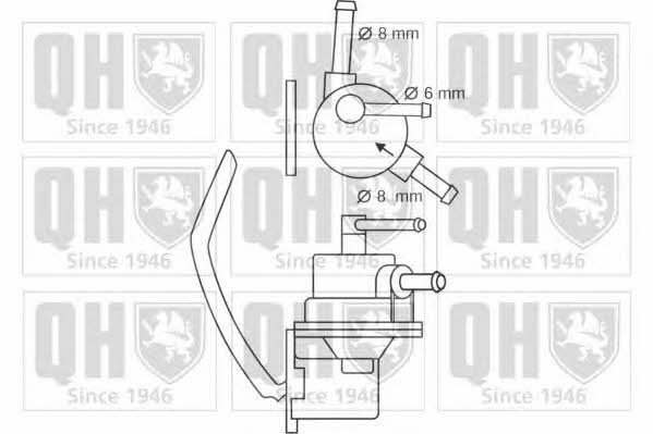 Quinton Hazell QFP256 Fuel pump QFP256: Buy near me in Poland at 2407.PL - Good price!
