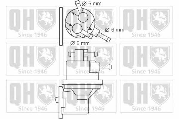 Quinton Hazell QFP259 Fuel pump QFP259: Buy near me in Poland at 2407.PL - Good price!