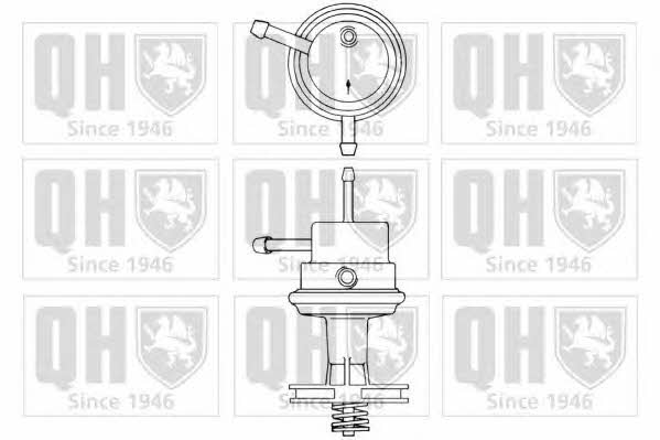 Quinton Hazell QFP284 Kraftstoffpumpe QFP284: Kaufen Sie zu einem guten Preis in Polen bei 2407.PL!