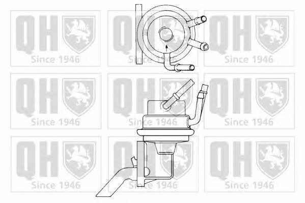 Quinton Hazell QFP294 Fuel pump QFP294: Buy near me in Poland at 2407.PL - Good price!